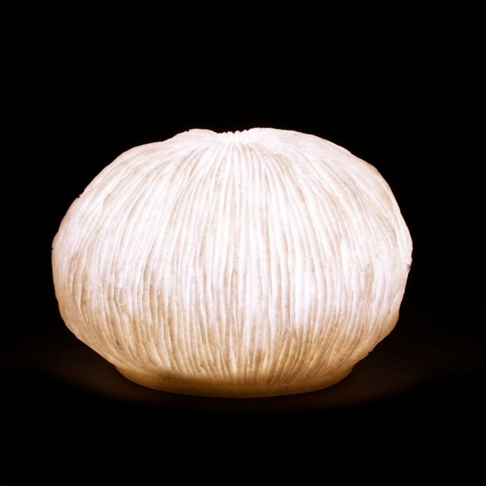 Outdoor LED Lamp - Egee Small