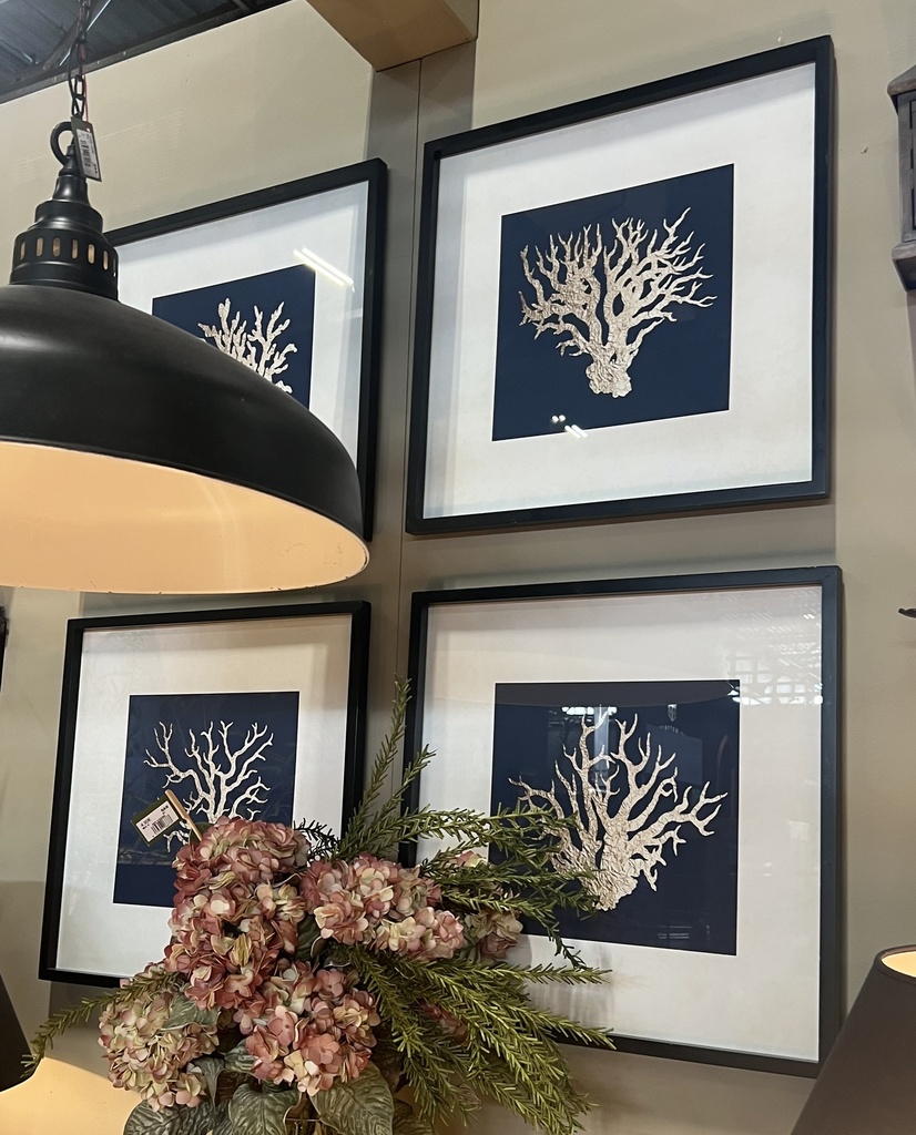 Framed Coral Print 1