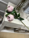 Pink Double Head &quot;Real Feel&quot; Peony