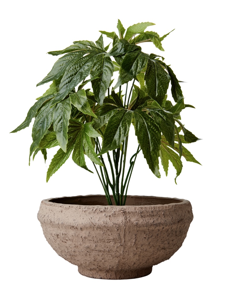 Brown Terracotta Pot