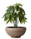 Brown Terracotta Pot