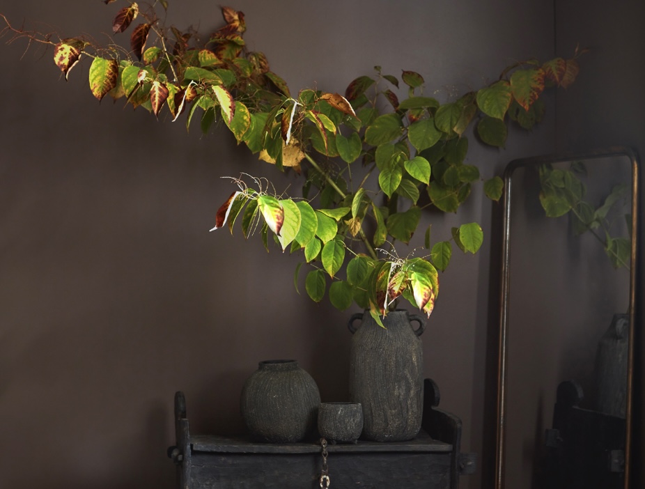 Charcoal Terracotta Pot/Planter 