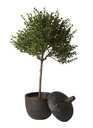 Decorative Acorn Pot 