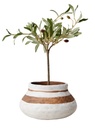 Camille Striped Terracotta Pot/Vase