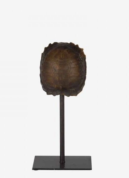 Small Tortoise Shell (Brown)