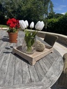 Whitewashed Rattan Tray on legs - M 