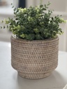 Whitewashed Rattan Vase / Planter