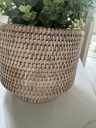 Whitewashed Rattan Vase / Planter