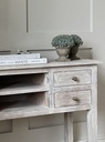 Potted Box Wood