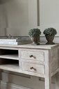 Potted Box Wood