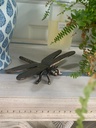 Bronze Dragon Fly