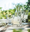 Abeille Set of 6 Glass Tumblers