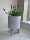 Cement Flowerpot On Feet (S)