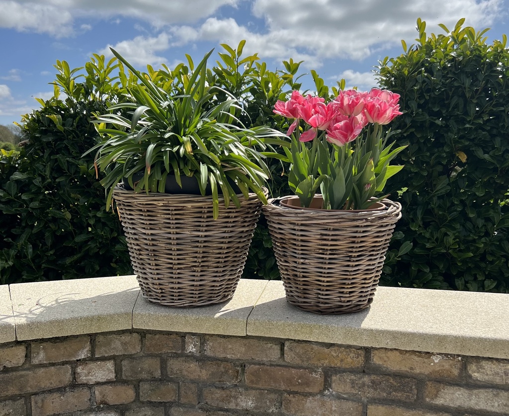 Small Tapered Rattan Round Planter With Plastic Lining