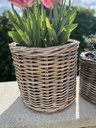 Small Rattan Round Planter With Plastic Lining