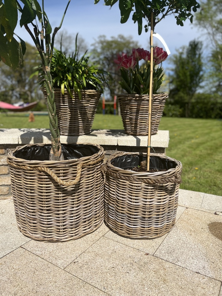 Large Rope Handled Kubu Rattan Basket Planter With Plastic Linin