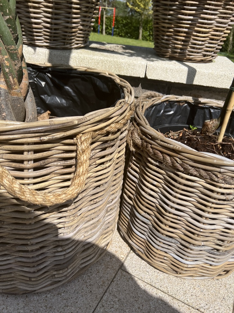 Large Rope Handled Kubu Rattan Basket Planter With Plastic Linin