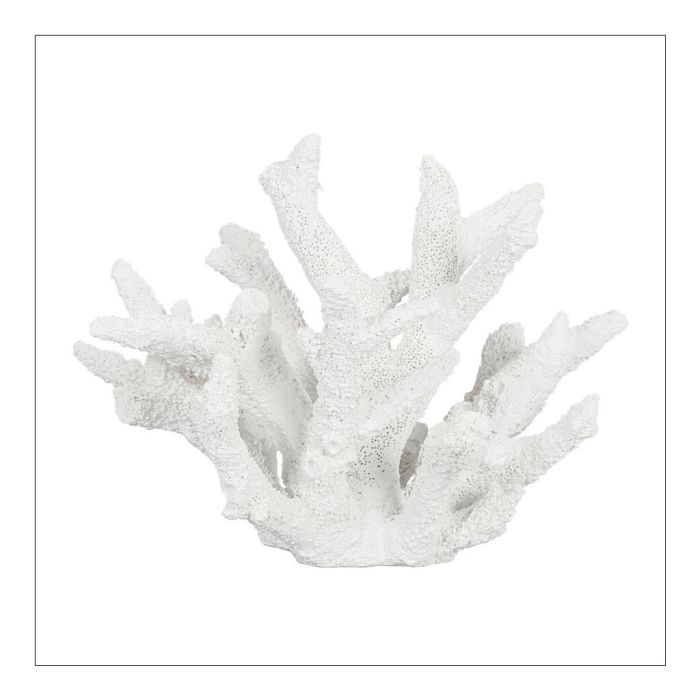 Decorative Coral
