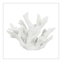 Decorative Coral