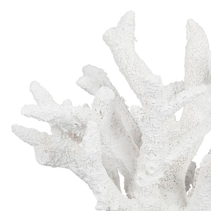 Decorative Coral