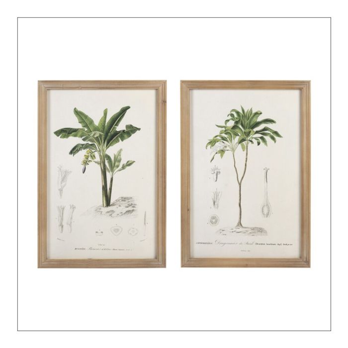 Set 2 Palm Prints in Natural Wood Frames