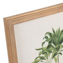 Set 2 Palm Prints in Natural Wood Frames