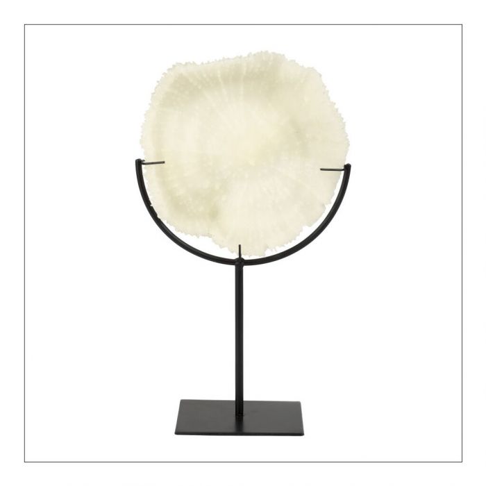 Decorative Coral on Stand