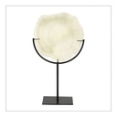 Decorative Coral on Stand