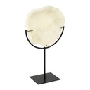 Decorative Coral on Stand
