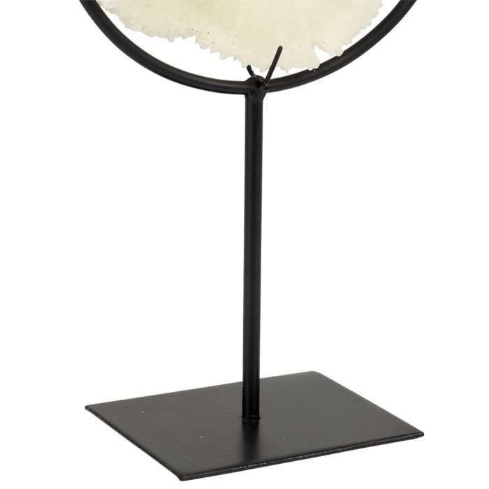 Decorative Coral on Stand