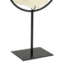 Decorative Coral on Stand