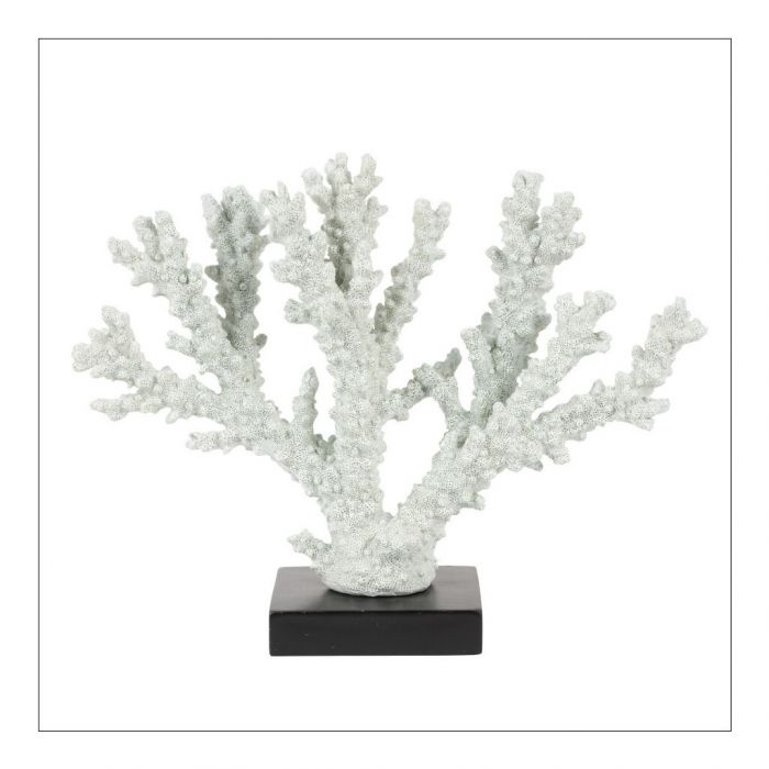 Decorative Coral