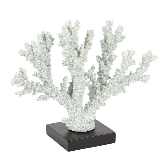 Decorative Coral