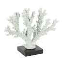 Decorative Coral
