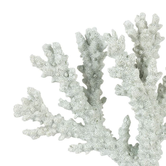 Decorative Coral