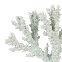 Decorative Coral