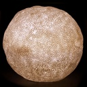 Outdoor LED Lamp - Egee Coral Large