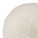 Outdoor LED Lamp - Egee Coral Large