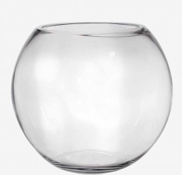 Fishbowl Vase
