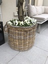 Large Rope Handled Kubu Rattan Basket Planter With Plastic Linin