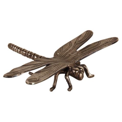 Bronze Dragon Fly