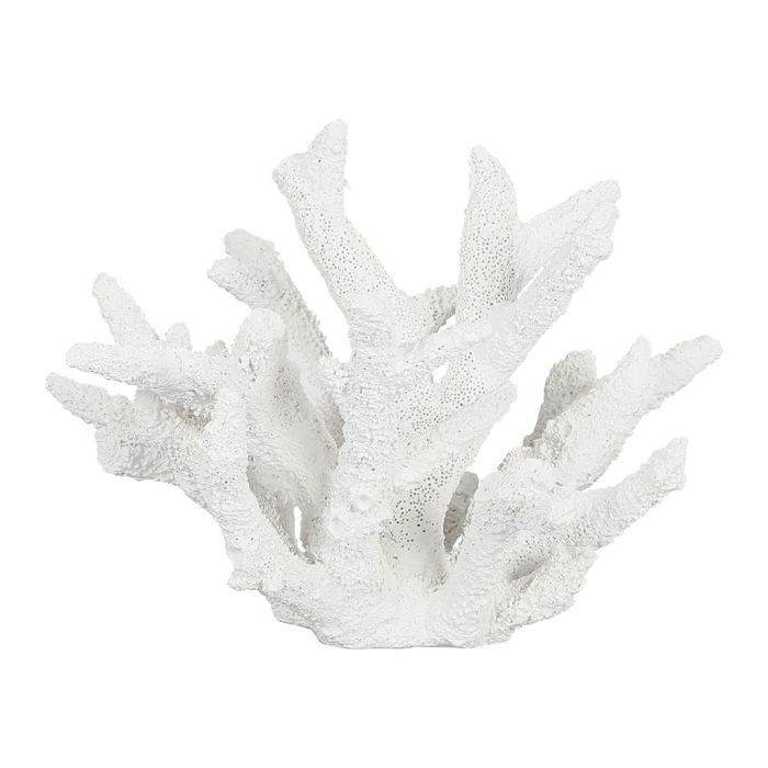 Decorative Coral