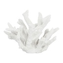 Decorative Coral