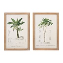 Set 2 Palm Prints in Natural Wood Frames