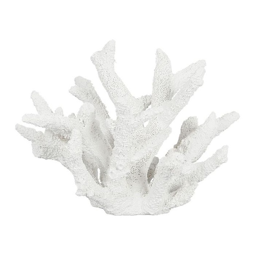 Decorative Coral
